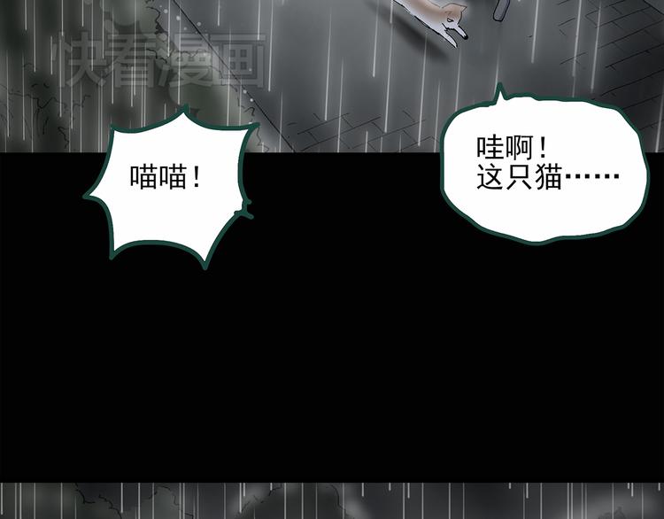 《怪奇实录》漫画最新章节第30话 怪之猫(中2)免费下拉式在线观看章节第【41】张图片