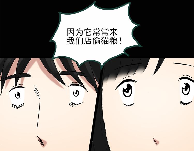 《怪奇实录》漫画最新章节第30话 怪之猫(中2)免费下拉式在线观看章节第【51】张图片