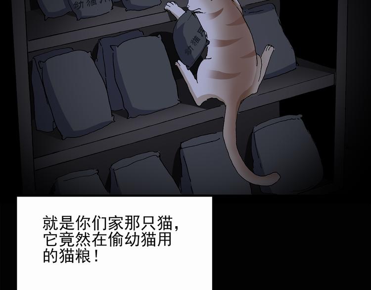 《怪奇实录》漫画最新章节第30话 怪之猫(中2)免费下拉式在线观看章节第【58】张图片