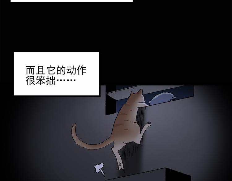 《怪奇实录》漫画最新章节第30话 怪之猫(中2)免费下拉式在线观看章节第【59】张图片