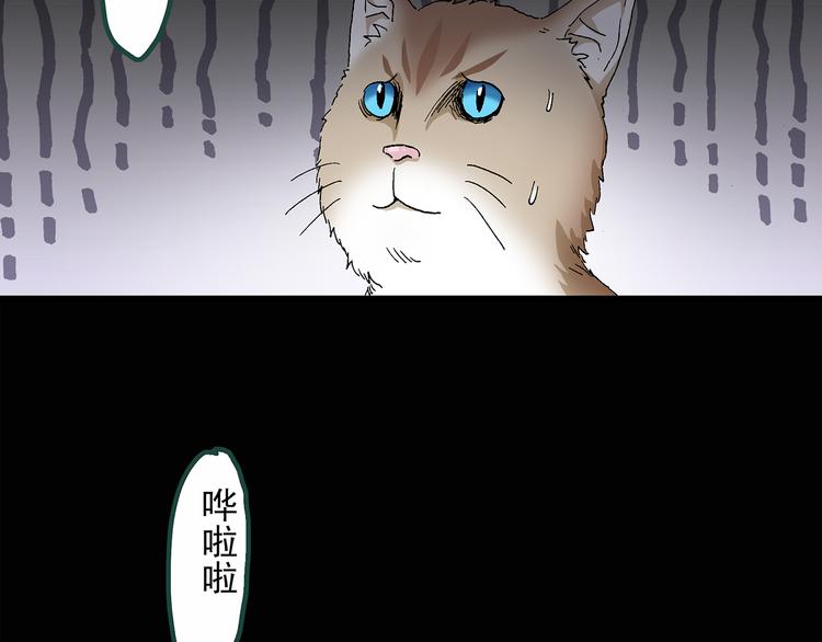 《怪奇实录》漫画最新章节第30话 怪之猫(中2)免费下拉式在线观看章节第【6】张图片