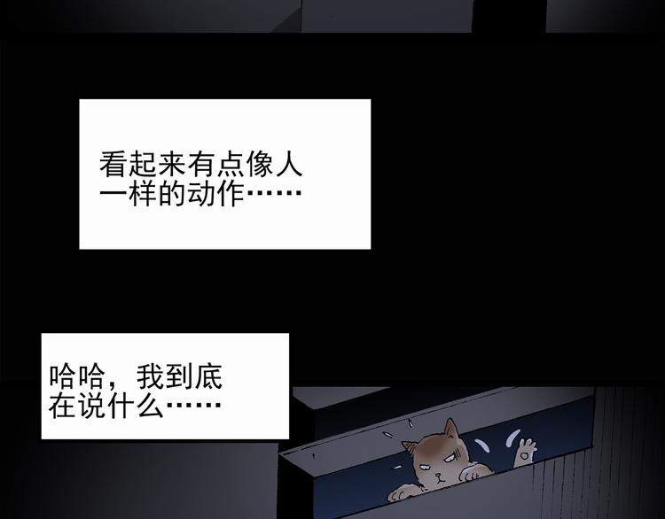 《怪奇实录》漫画最新章节第30话 怪之猫(中2)免费下拉式在线观看章节第【60】张图片