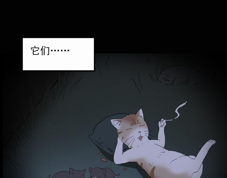 《怪奇实录》漫画最新章节第30话 怪之猫(中2)免费下拉式在线观看章节第【67】张图片