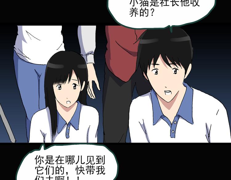 《怪奇实录》漫画最新章节第30话 怪之猫(中2)免费下拉式在线观看章节第【74】张图片