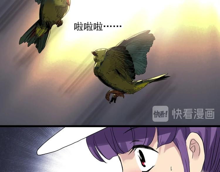 《怪奇实录》漫画最新章节第313话 丑男（终）免费下拉式在线观看章节第【82】张图片