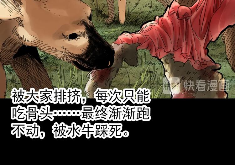 《怪奇实录》漫画最新章节第318话 恶魔换脸术（一）免费下拉式在线观看章节第【35】张图片