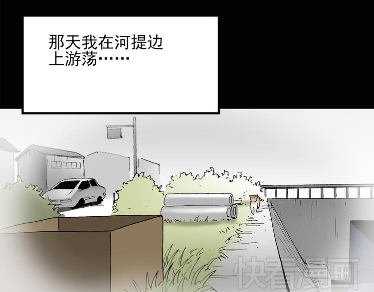 《怪奇实录》漫画最新章节第31话  怪之猫（下）免费下拉式在线观看章节第【21】张图片