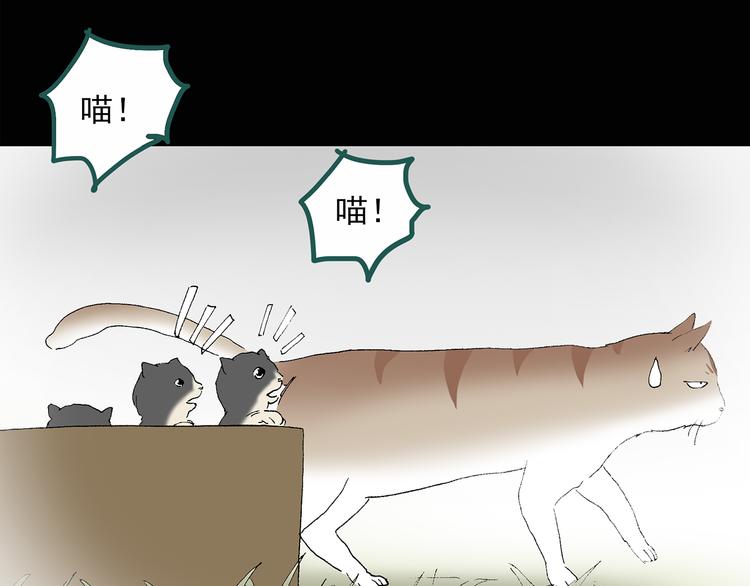 《怪奇实录》漫画最新章节第31话  怪之猫（下）免费下拉式在线观看章节第【25】张图片