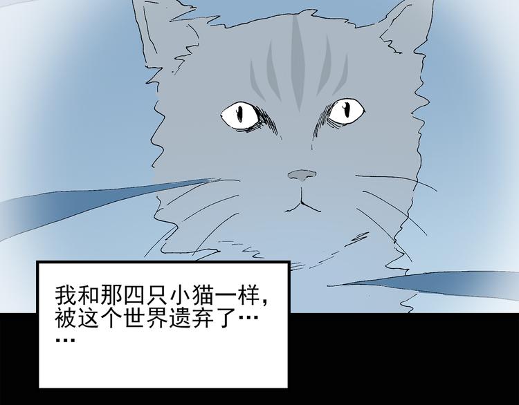 《怪奇实录》漫画最新章节第31话  怪之猫（下）免费下拉式在线观看章节第【35】张图片