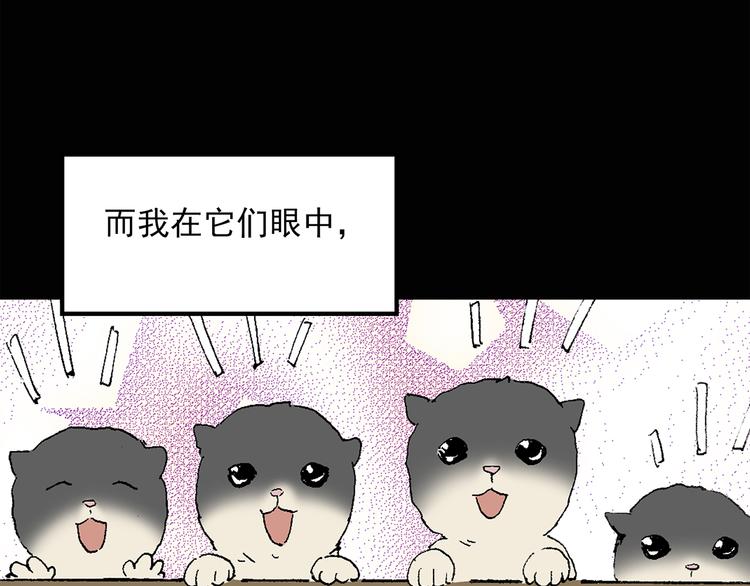 《怪奇实录》漫画最新章节第31话  怪之猫（下）免费下拉式在线观看章节第【36】张图片