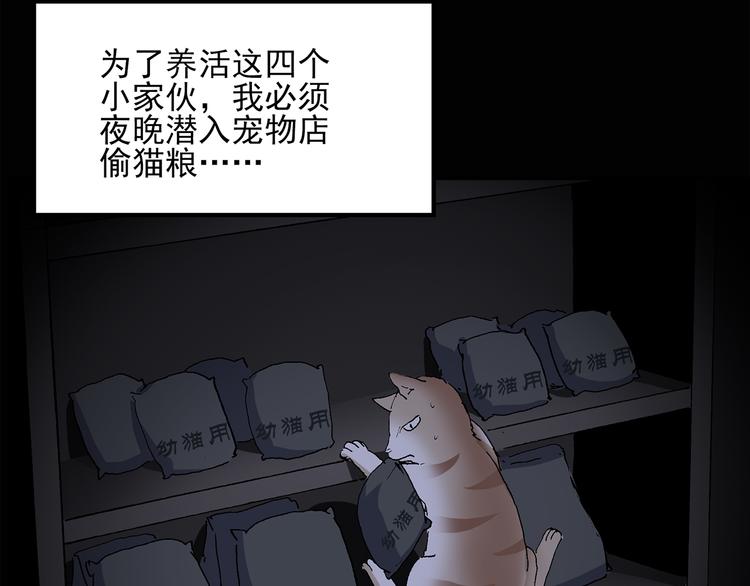 《怪奇实录》漫画最新章节第31话  怪之猫（下）免费下拉式在线观看章节第【40】张图片