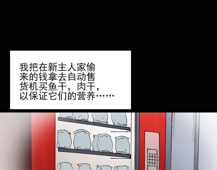 《怪奇实录》漫画最新章节第31话  怪之猫（下）免费下拉式在线观看章节第【43】张图片