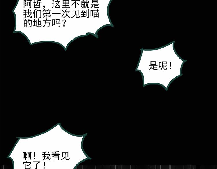 《怪奇实录》漫画最新章节第31话  怪之猫（下）免费下拉式在线观看章节第【6】张图片