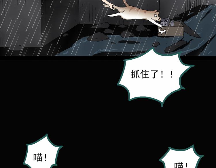 《怪奇实录》漫画最新章节第31话  怪之猫（下）免费下拉式在线观看章节第【71】张图片