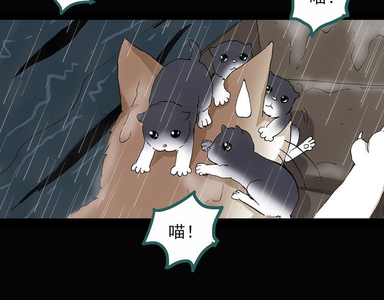 《怪奇实录》漫画最新章节第31话  怪之猫（下）免费下拉式在线观看章节第【72】张图片