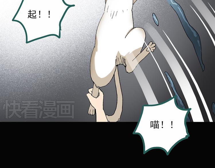 《怪奇实录》漫画最新章节第31话  怪之猫（下）免费下拉式在线观看章节第【74】张图片