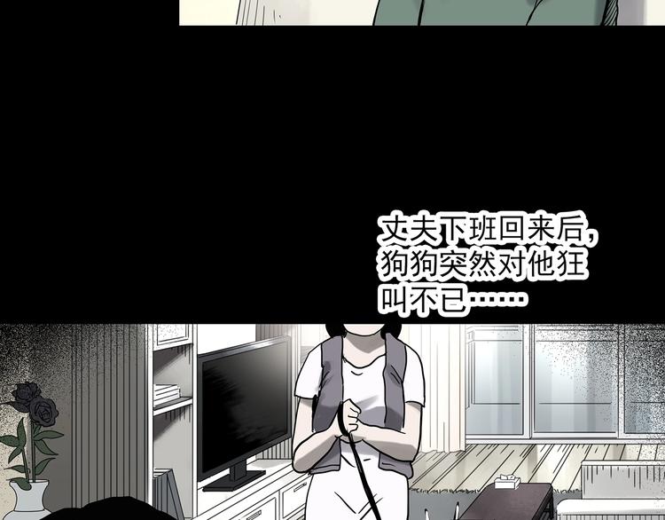 《怪奇实录》漫画最新章节第326话 恶魔换脸术（九）免费下拉式在线观看章节第【134】张图片