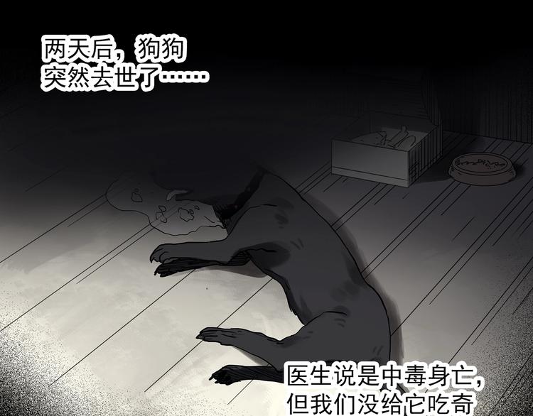 《怪奇实录》漫画最新章节第326话 恶魔换脸术（九）免费下拉式在线观看章节第【136】张图片