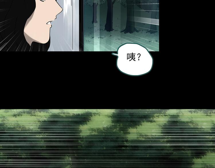 《怪奇实录》漫画最新章节第330话 贞节橄榄树（上）免费下拉式在线观看章节第【40】张图片