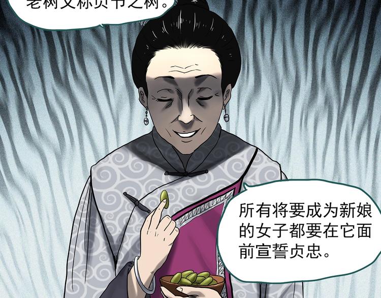 《怪奇实录》漫画最新章节第330话 贞节橄榄树（上）免费下拉式在线观看章节第【66】张图片