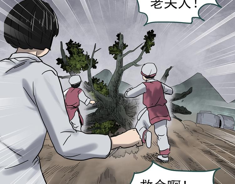 《怪奇实录》漫画最新章节第331话 贞节橄榄树（下）免费下拉式在线观看章节第【119】张图片