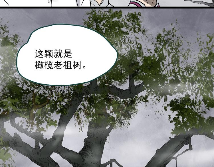 《怪奇实录》漫画最新章节第331话 贞节橄榄树（下）免费下拉式在线观看章节第【45】张图片