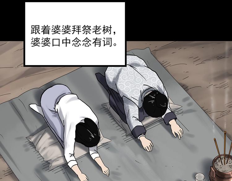 《怪奇实录》漫画最新章节第331话 贞节橄榄树（下）免费下拉式在线观看章节第【51】张图片