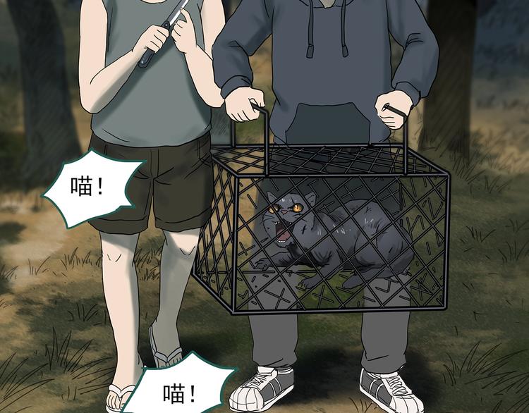 《怪奇实录》漫画最新章节第332话 洞（上）免费下拉式在线观看章节第【38】张图片