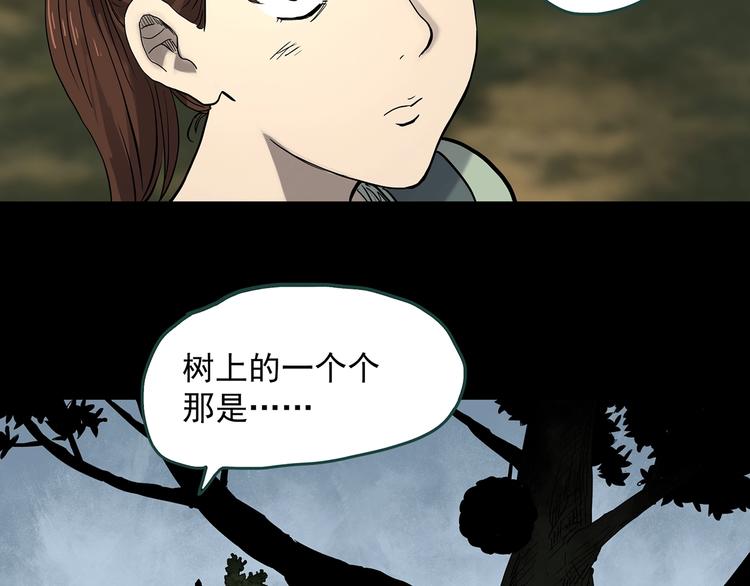 《怪奇实录》漫画最新章节第334话 人头蜂巢（上）免费下拉式在线观看章节第【57】张图片