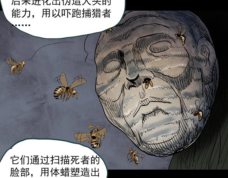 《怪奇实录》漫画最新章节第334话 人头蜂巢（上）免费下拉式在线观看章节第【66】张图片