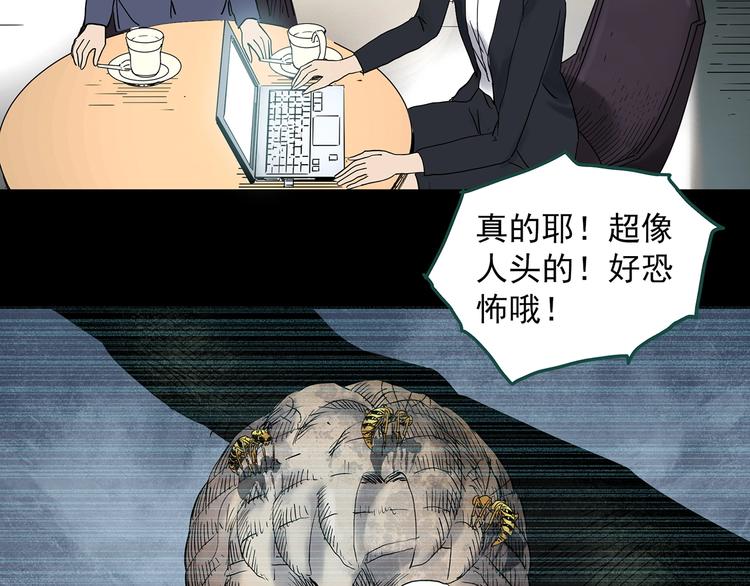 《怪奇实录》漫画最新章节第335话 人头蜂巢（下）免费下拉式在线观看章节第【122】张图片