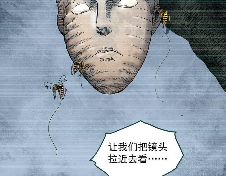 《怪奇实录》漫画最新章节第335话 人头蜂巢（下）免费下拉式在线观看章节第【123】张图片