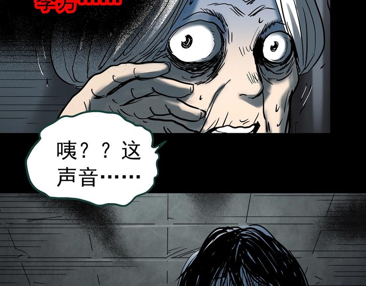 《怪奇实录》漫画最新章节第353话 诡镜·言之罪（终）免费下拉式在线观看章节第【97】张图片