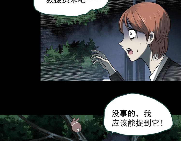 《怪奇实录》漫画最新章节第358话 树上影 下免费下拉式在线观看章节第【34】张图片