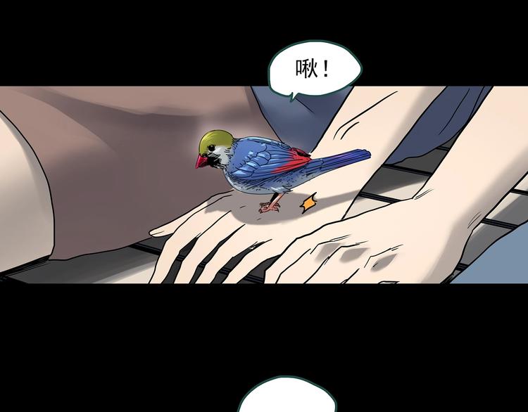 《怪奇实录》漫画最新章节第360话 VR愿免费下拉式在线观看章节第【78】张图片