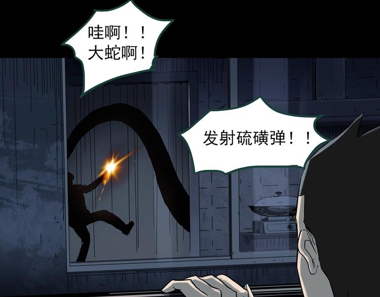 《怪奇实录》漫画最新章节第361话 蛇女免费下拉式在线观看章节第【72】张图片