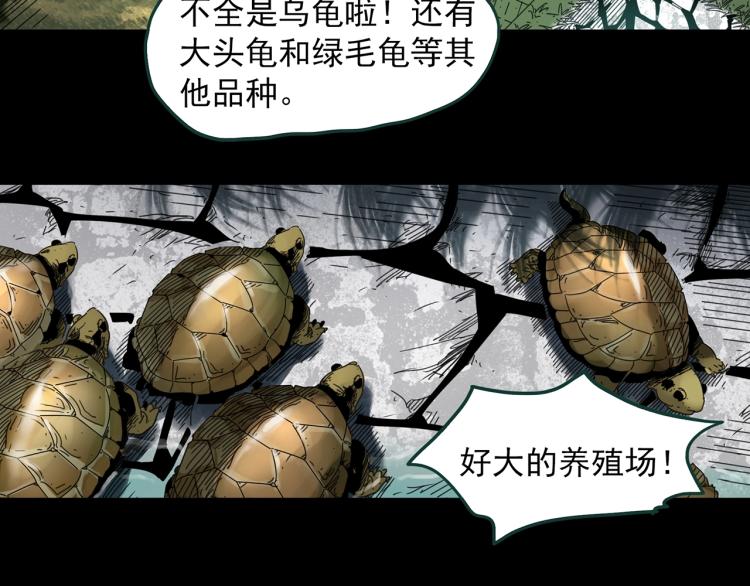 《怪奇实录》漫画最新章节第374话 龟之怪谈（上）免费下拉式在线观看章节第【25】张图片