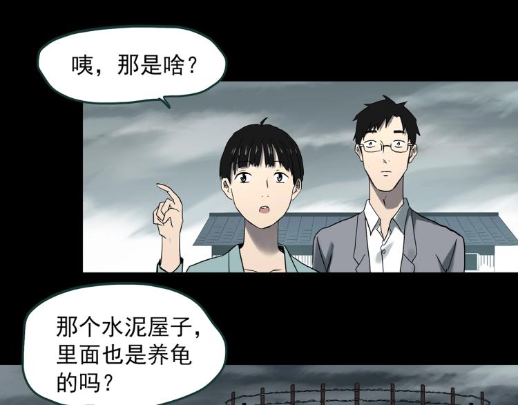 《怪奇实录》漫画最新章节第374话 龟之怪谈（上）免费下拉式在线观看章节第【26】张图片