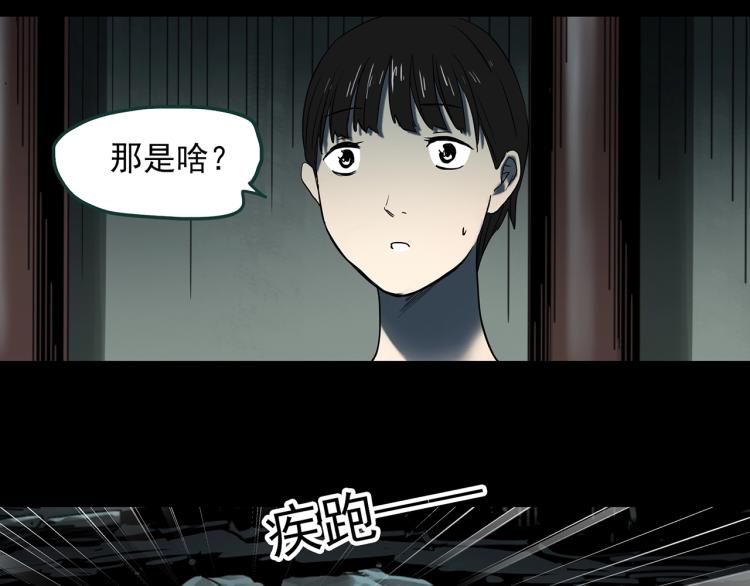 《怪奇实录》漫画最新章节第374话 龟之怪谈（上）免费下拉式在线观看章节第【42】张图片