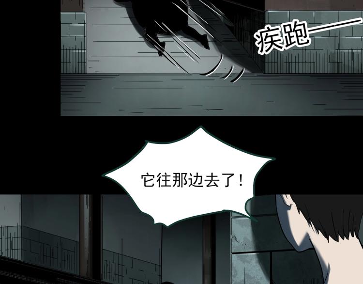 《怪奇实录》漫画最新章节第374话 龟之怪谈（上）免费下拉式在线观看章节第【44】张图片