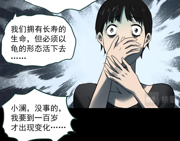 《怪奇实录》漫画最新章节第374话 龟之怪谈（上）免费下拉式在线观看章节第【64】张图片