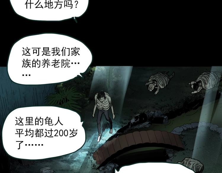 《怪奇实录》漫画最新章节第375话 龟之怪谈（下）免费下拉式在线观看章节第【58】张图片