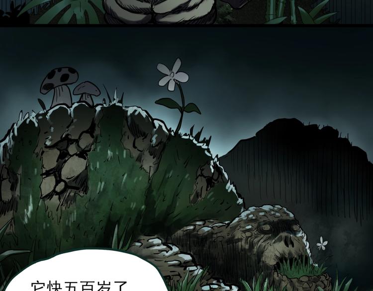 《怪奇实录》漫画最新章节第375话 龟之怪谈（下）免费下拉式在线观看章节第【60】张图片