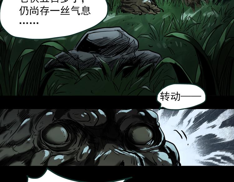 《怪奇实录》漫画最新章节第375话 龟之怪谈（下）免费下拉式在线观看章节第【61】张图片