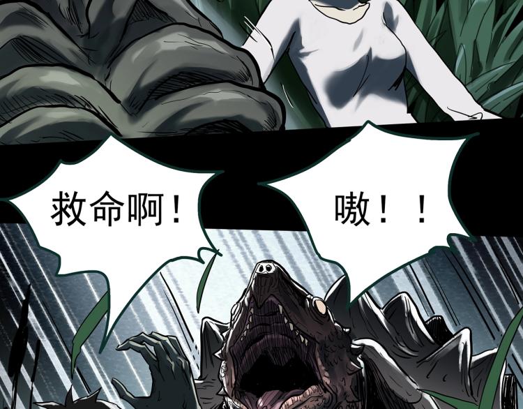 《怪奇实录》漫画最新章节第375话 龟之怪谈（下）免费下拉式在线观看章节第【74】张图片