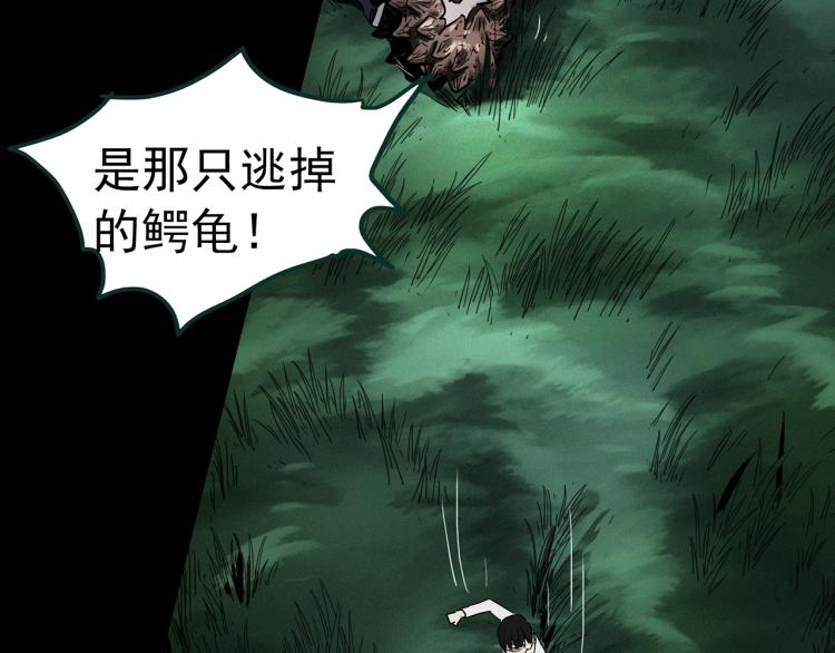 《怪奇实录》漫画最新章节第375话 龟之怪谈（下）免费下拉式在线观看章节第【79】张图片