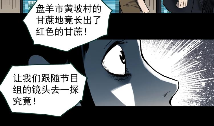 《怪奇实录》漫画最新章节第376话 甘蔗地免费下拉式在线观看章节第【38】张图片