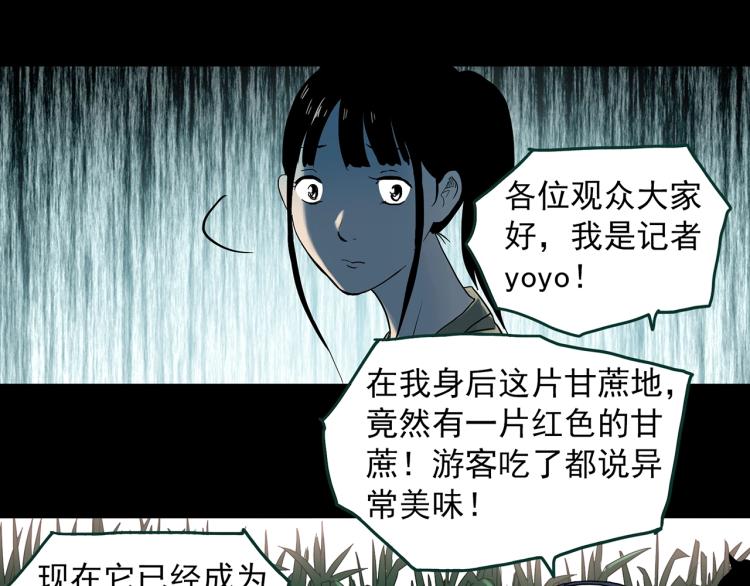 《怪奇实录》漫画最新章节第376话 甘蔗地免费下拉式在线观看章节第【39】张图片