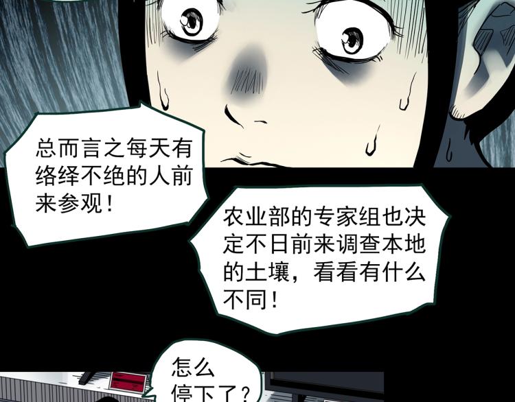 《怪奇实录》漫画最新章节第376话 甘蔗地免费下拉式在线观看章节第【42】张图片