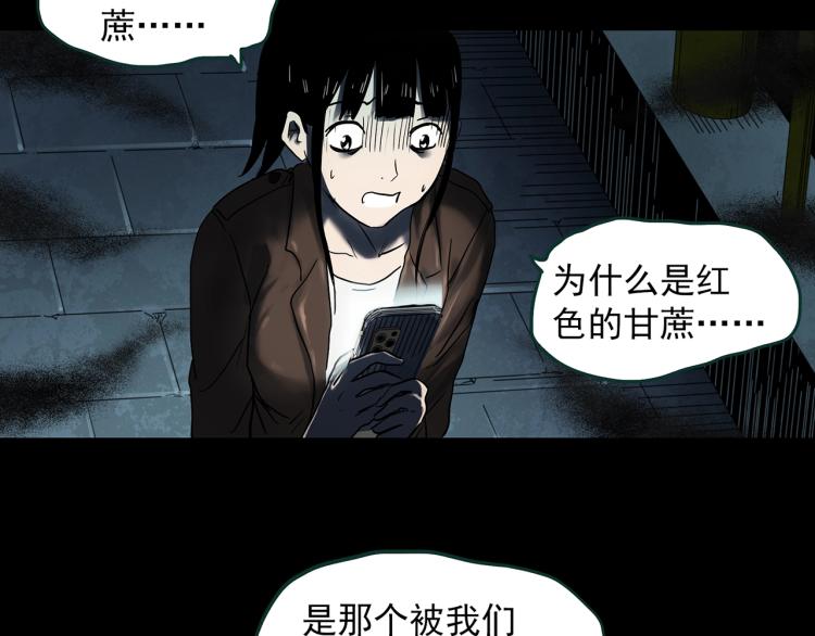 《怪奇实录》漫画最新章节第376话 甘蔗地免费下拉式在线观看章节第【47】张图片